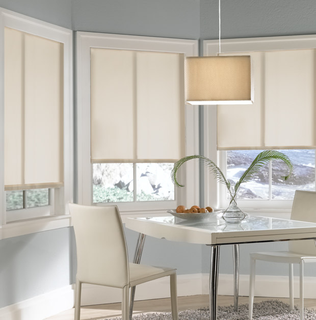 Roller shades in Bluff City